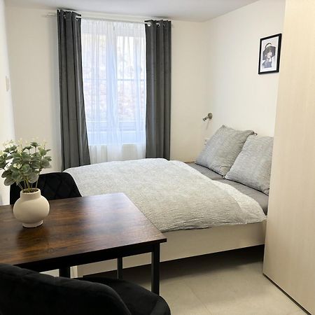 Apartmany Plzen Rolnicke Namesti 8 Екстер'єр фото