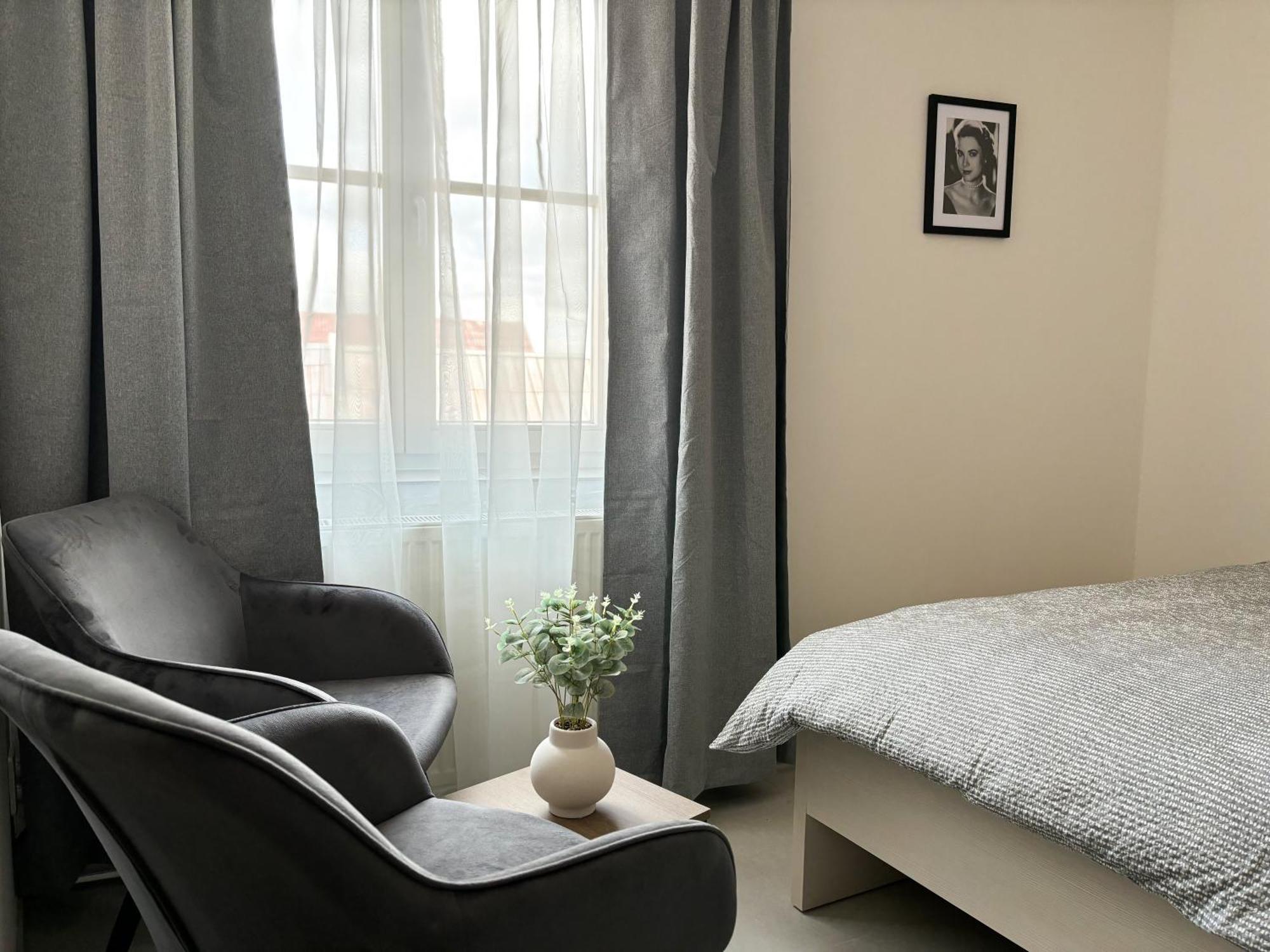 Apartmany Plzen Rolnicke Namesti 8 Екстер'єр фото