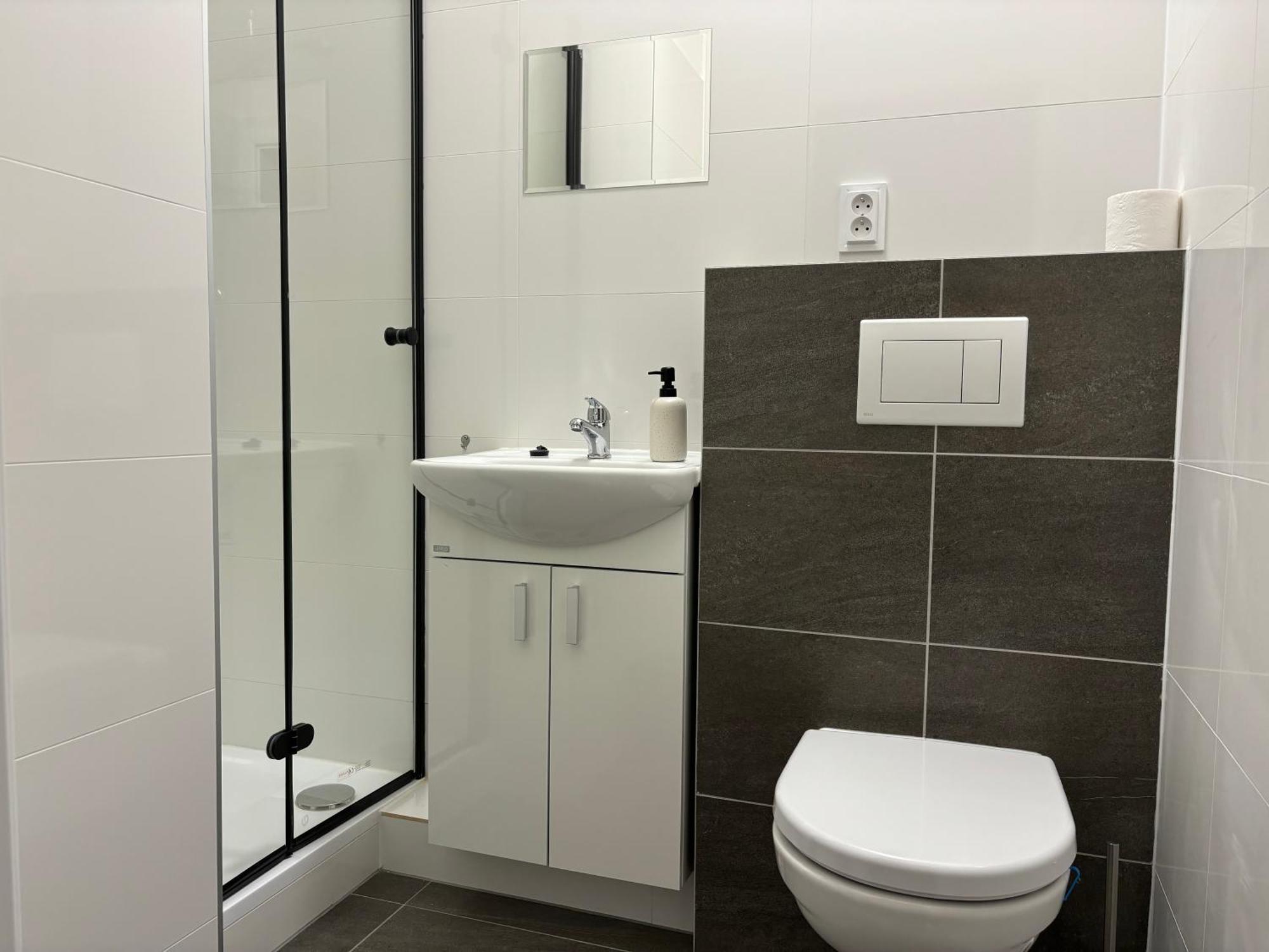 Apartmany Plzen Rolnicke Namesti 8 Екстер'єр фото